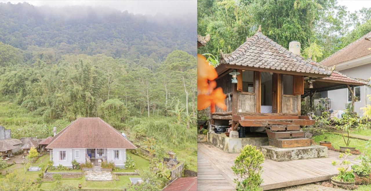 Four Monkeys House Villa Bedugul  Kültér fotó